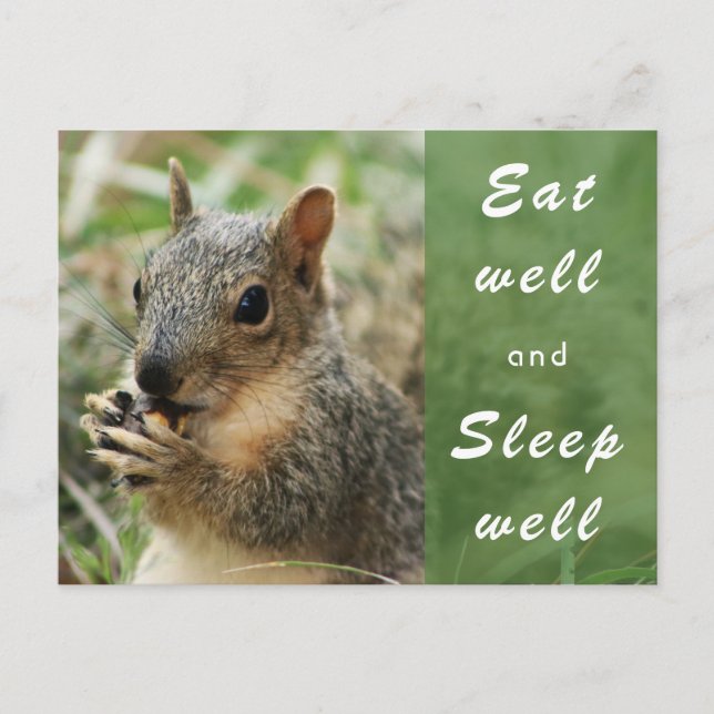 mignon écureuil bien manger et dormir bien carte p (Devant)