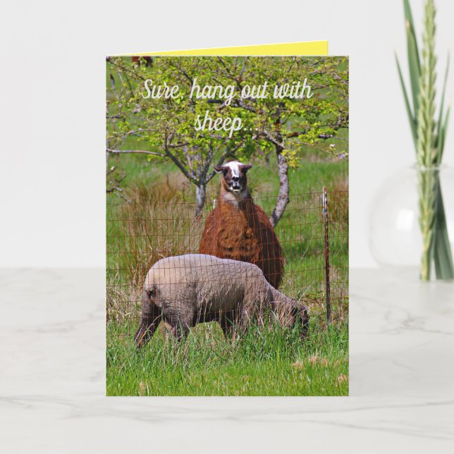 Mignonne, Drôle Llama Encouragement Carte de voeux (Devant)