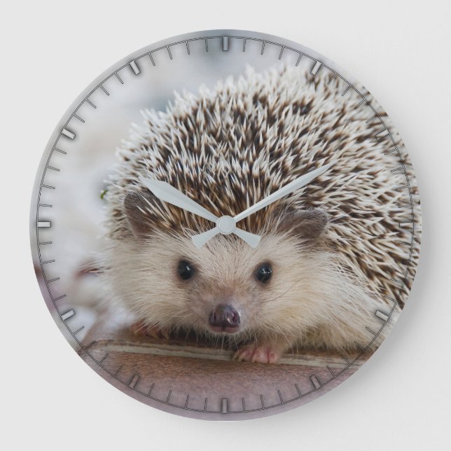 Mignonne horloge murale pour bébé hérisson (Recto)