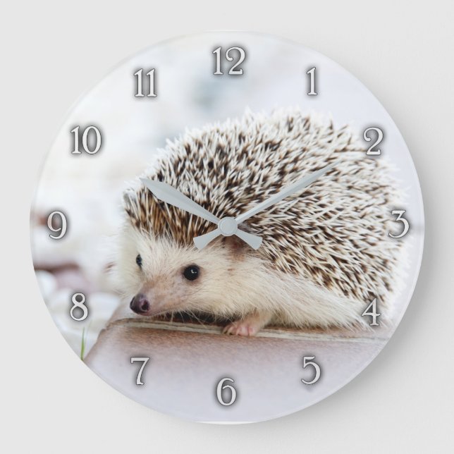 Mignonne horloge murale pour bébé hérisson (Recto)