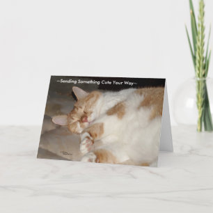 Mignonne mante et vous aime Carte de voeux de chat