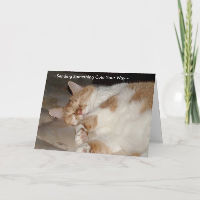Mignonne mante et vous aime Carte de voeux de chat (Devant)