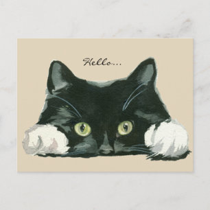 mignonne noir et blanc chat bonjour carte postale