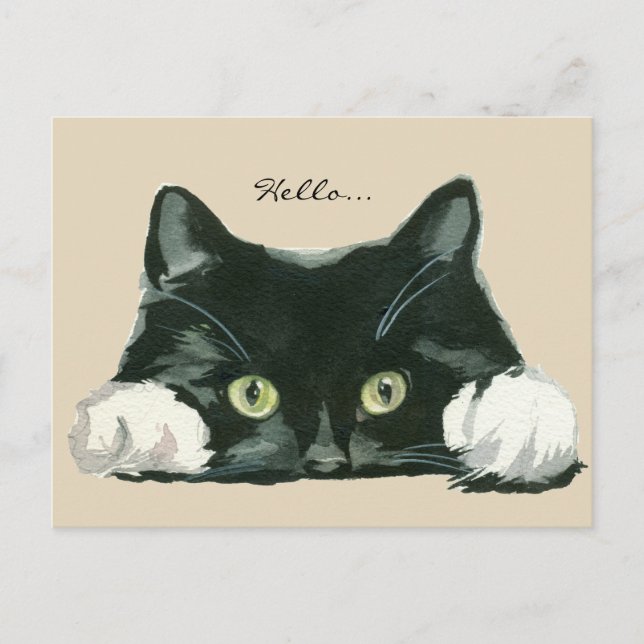mignonne noir et blanc chat bonjour carte postale (Devant)