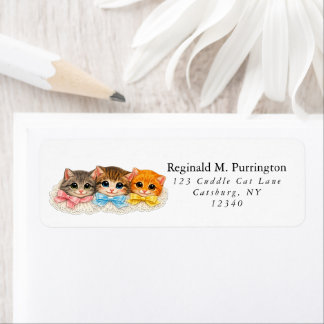 Mignons chatons de style victorien avec rubans et 