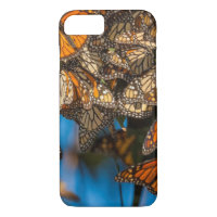 Migrating monarch butterflies cling to leaves