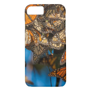 Migrating monarch butterflies cling to leaves Case-Mate iPhone case