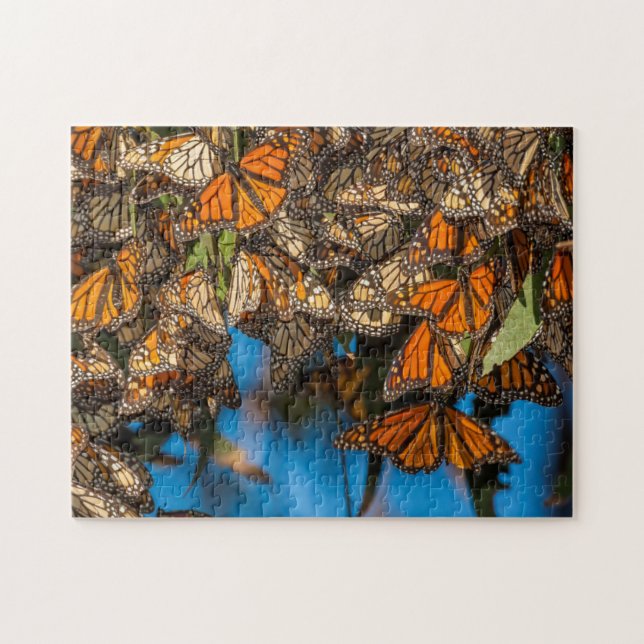Migrating monarch butterflies cling to leaves jigsaw puzzle (Horizontal)
