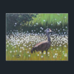 Migrating Sandhill Cranes Postcard<br><div class="desc">Each year a couple of migrating Sandhill Cranes land in a field of dandelions in Fairbanks.</div>