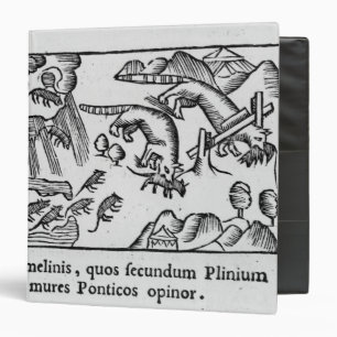 Migration of lemmings binder