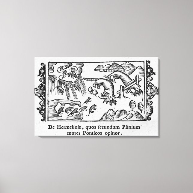 Migration of lemmings canvas print (Front)