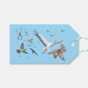 Migratory birds tracing their flights Illustration Gift Tags