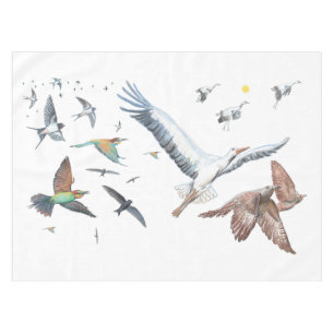 Migratory birds tracing their flights   tablecloth