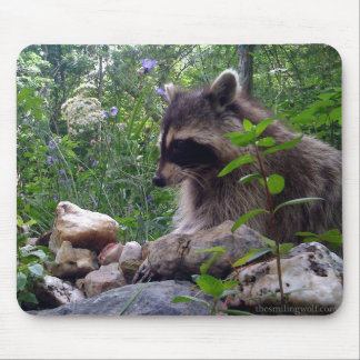 Mika the Raccoon Mouse Pad