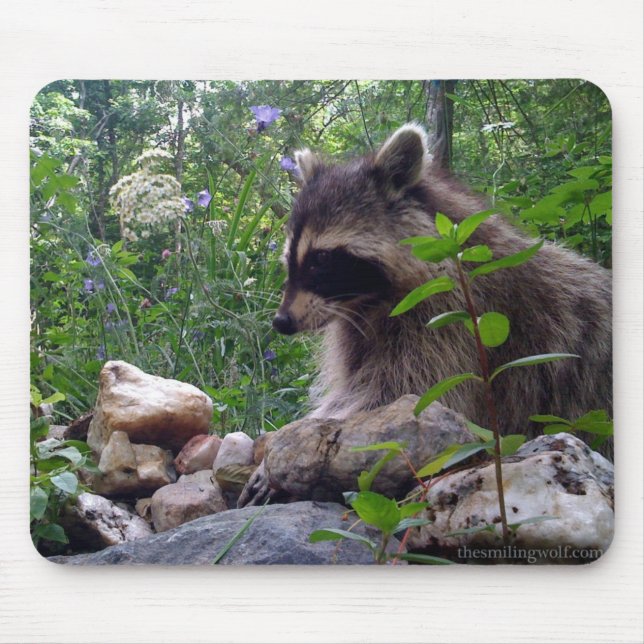 Mika the Raccoon Mouse Pad (Front)