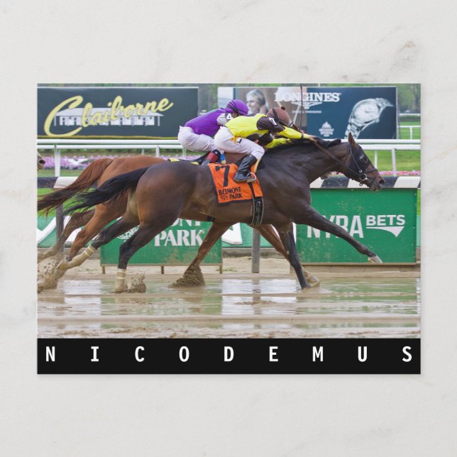 Mike Luzzi -Nicodemus Postcard (Front)