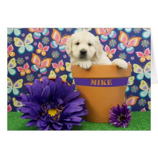 Mike, photo de la semaine 5