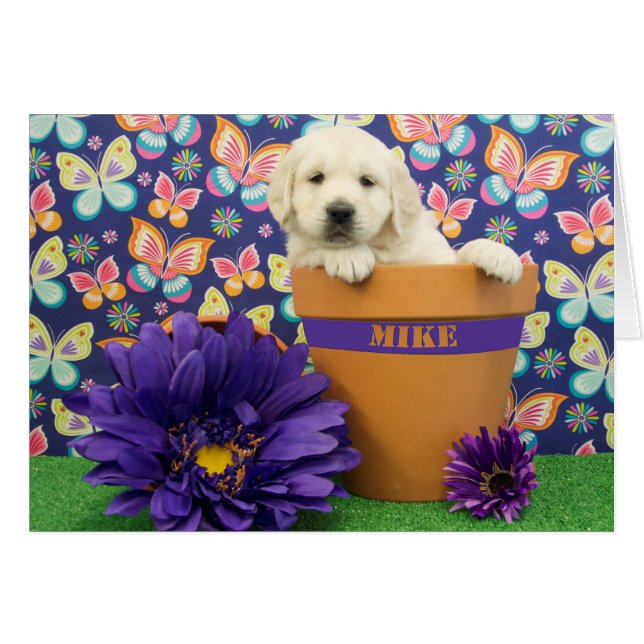 Mike, week 5 photo (Front Horizontal)