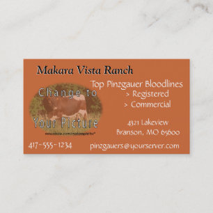 MikeCard 2- customize both sides Business Card