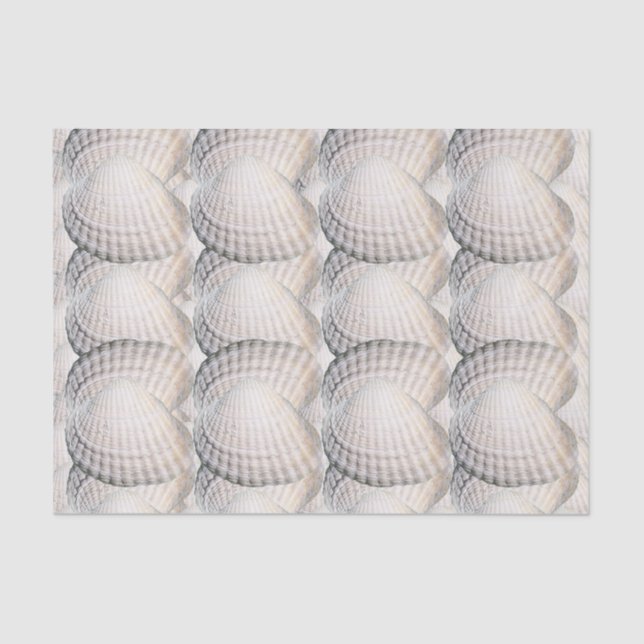 Mikitiez summer venus shell ocean beach tissue paper (Front)