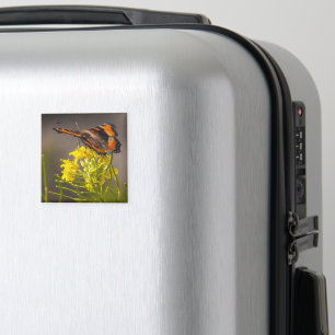 Milbert's Tortoiseshell Butterfly Close Up Magnet