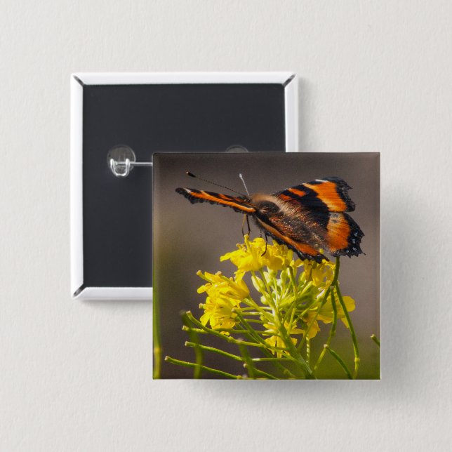 Milbert's Tortoiseshell Butterfly Close-Up Photo 2 Inch Square Button (Front & Back)