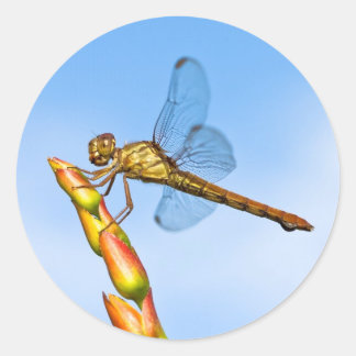 miles behind me classic round sticker