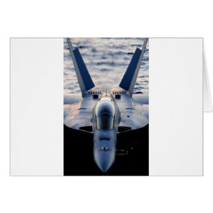 Military jet