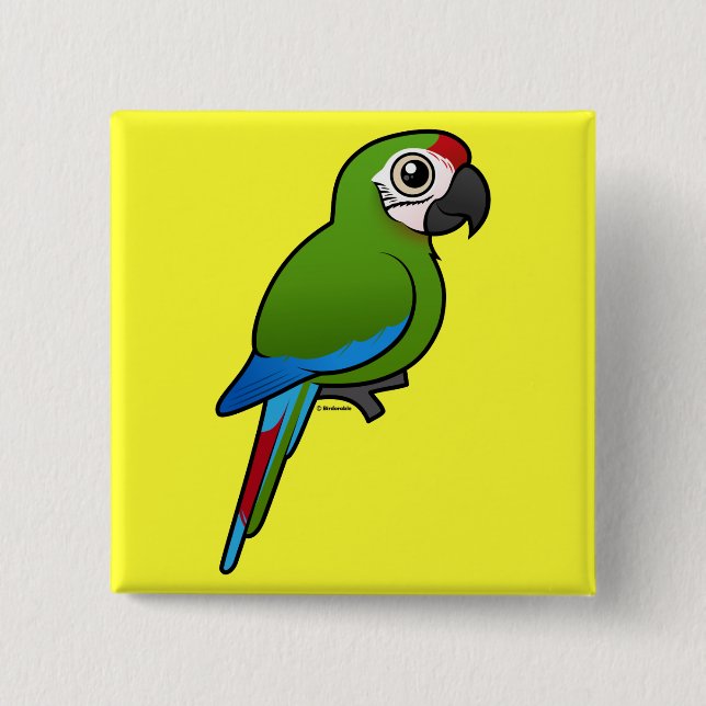 Military Macaw 2 Inch Square Button (Front)