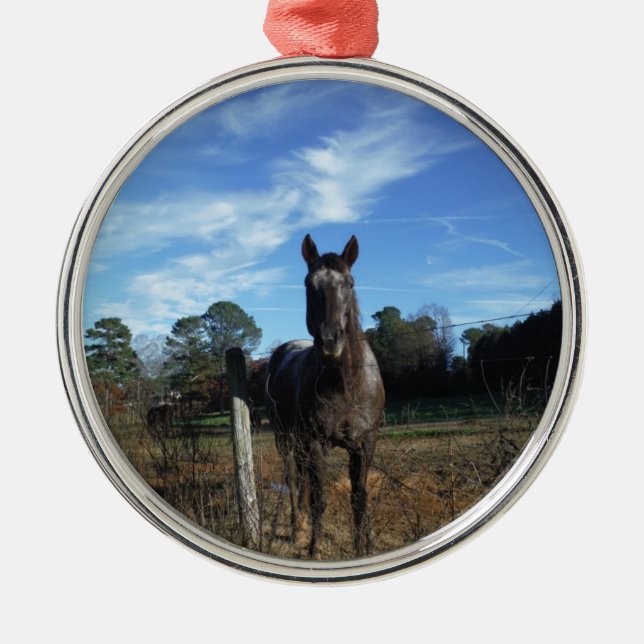 Milk Chocolate Brown Horse in Blue Metal Ornament (Front)