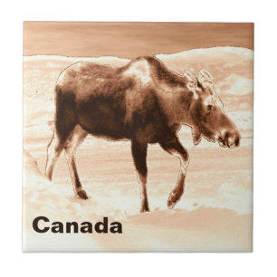 Milk Chocolate Moose Tile