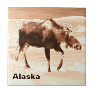 Milk Chocolate Moose Tile