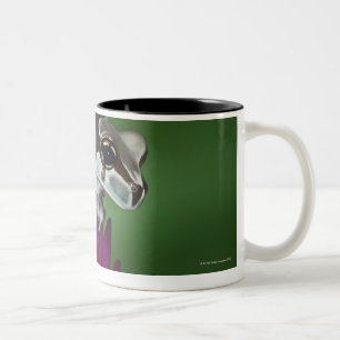Milk Frog, Trachycephalus resinifictrix Two-Tone Coffee Mug