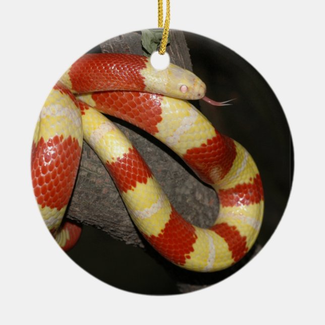 Milk snake ceramic ornament (Front)
