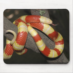 Milk snake mouse pad
