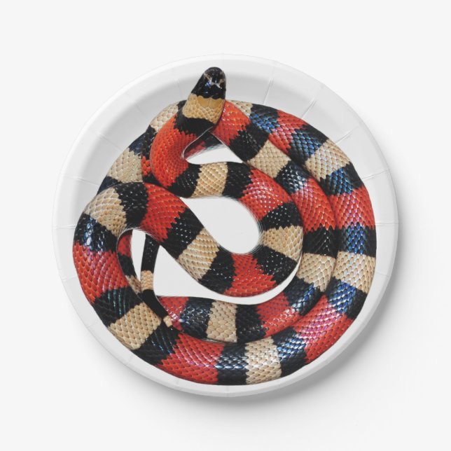 Milk snake paper plate (Front)