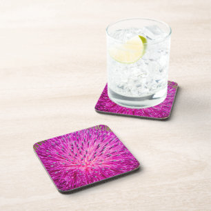 Milk thistle closeup coaster