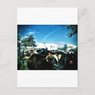 milk truck postcard