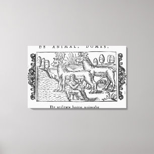 Milking reindeers canvas print