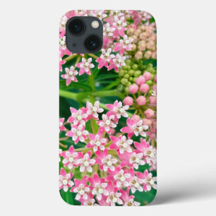 Milkweed aka Asclepias Summer Blooms  iPhone 13 Case