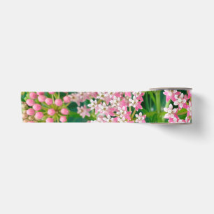 Milkweed aka Asclepias Summer Blooms Satin Ribbon