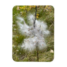 Milkweed | Butterfly | Flexible