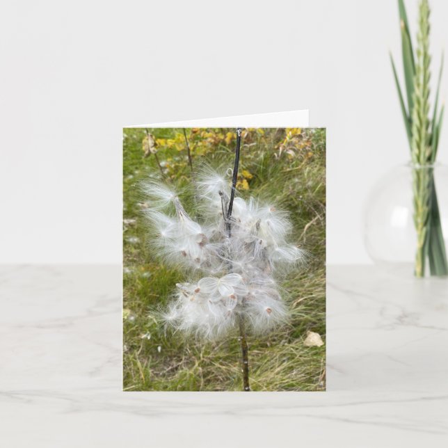 Milkweed | Butterfly | Note Card (Front)