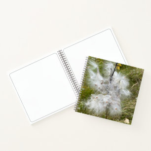 Milkweed Butterfly Sketch Notebook