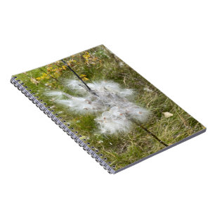 Milkweed Butterfly Spiral Notebook