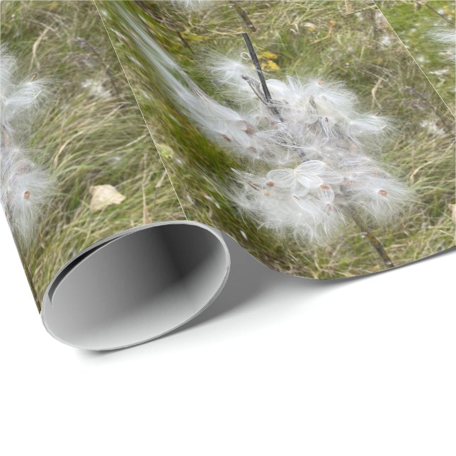 Milkweed | Butterfly | Wrapping Paper (Roll Corner)