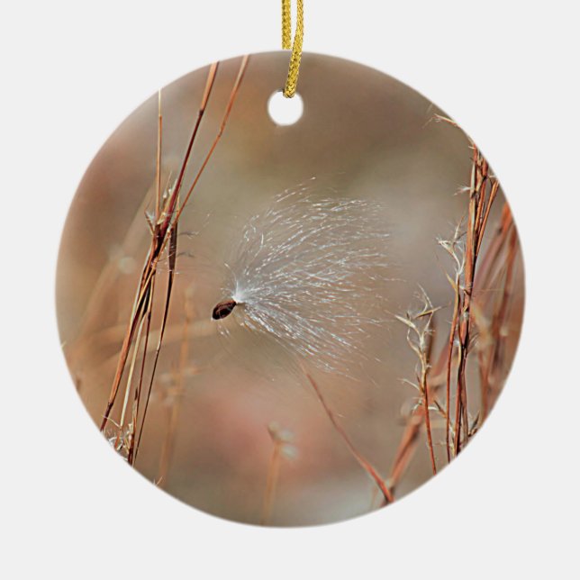 Milkweed fluff ceramic ornament (Front)