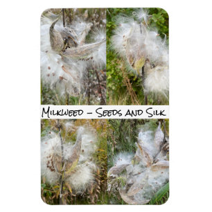 Milkweed Natural Flexible Magnet