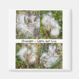 Milkweed Natural Magnet