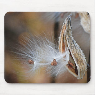 Milkweed Pod Macro Mouse Pad